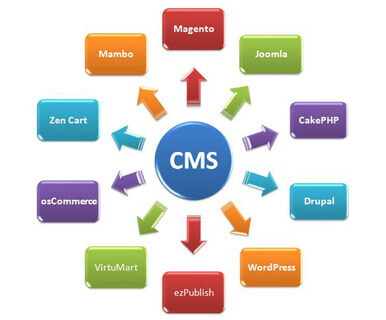 cms website design